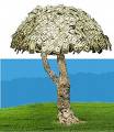 Money Collection Tree